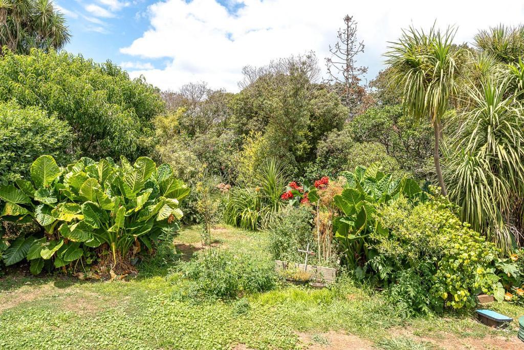 Oneroa Bay Villa Waiheke Zewnętrze zdjęcie