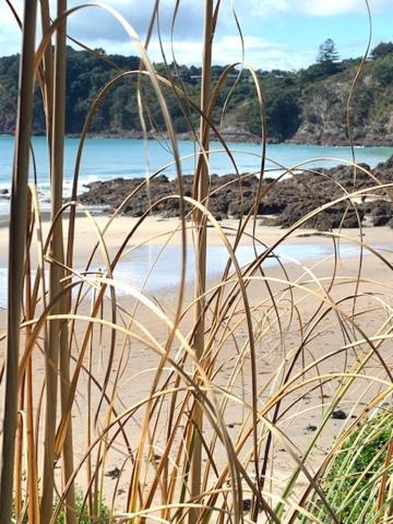 Oneroa Bay Villa Waiheke Zewnętrze zdjęcie