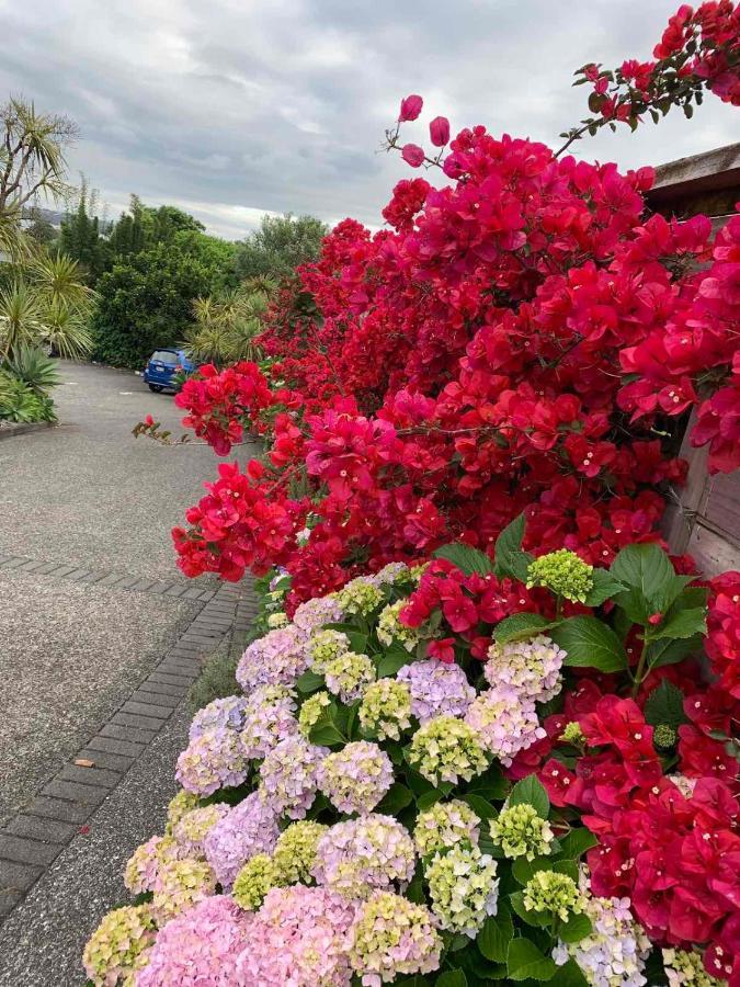 Oneroa Bay Villa Waiheke Zewnętrze zdjęcie